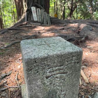 青根ヶ峰⛰️