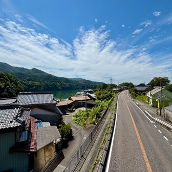 歩道橋から