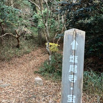 何人の人に抜かれたか。。