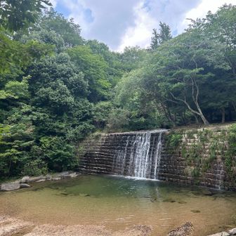 飛び込みしたら、めっち気持ち良さそう。