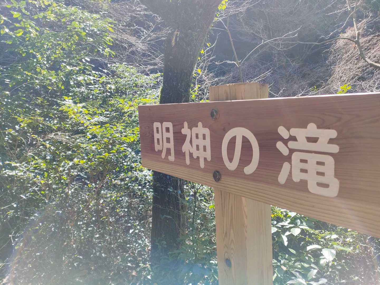 ゆらりんこから見えるのがこの滝だと思ってた🤣