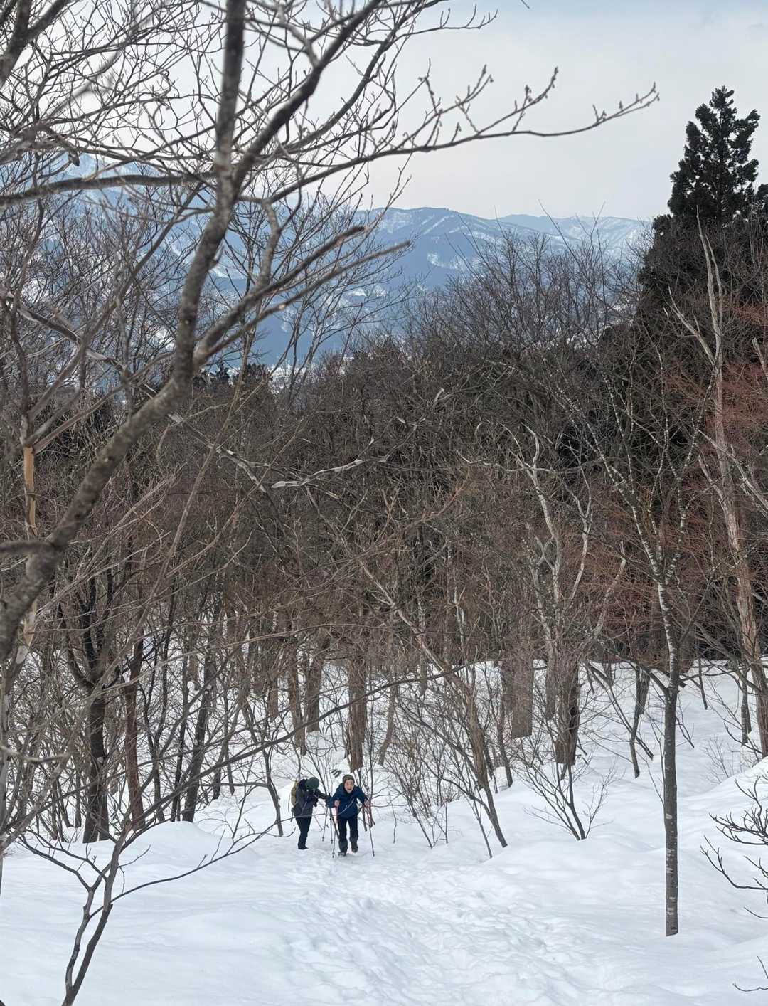 ふくちゃん、今日お初の雪山🏔️、頑張れ〜
ちょっと先輩ずらしてみた〜（笑）