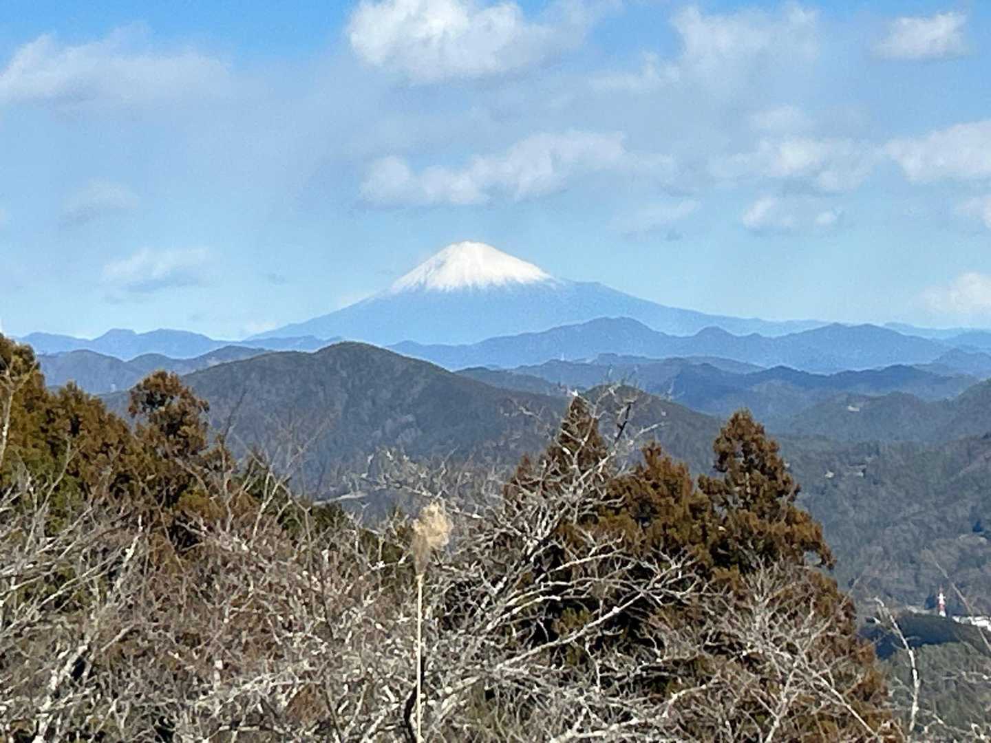 朝は全然見えなかったのにラッキーです