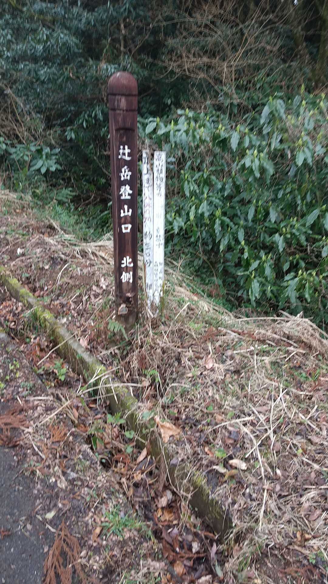 北側登山口-辻岳 往復コースの写真