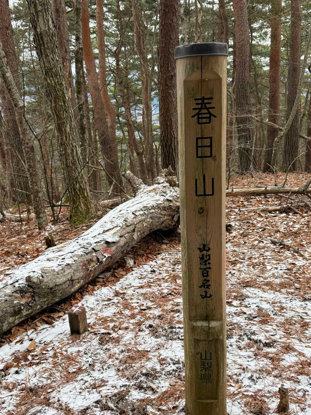 鳥坂トンネルバス停-鳥坂峠-春日沢ノ頭-春日山 往復コースの写真