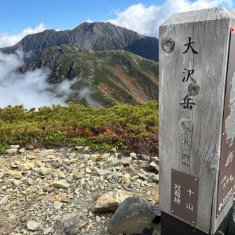 大沢到着です✌️