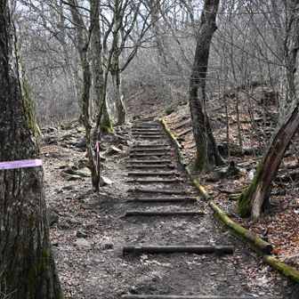 緩やかに登り始める