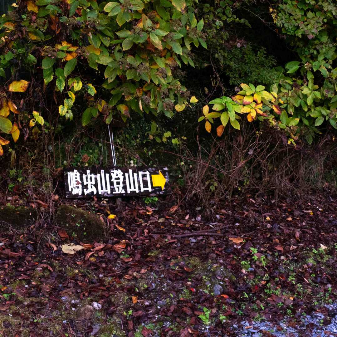 分かりやすいです