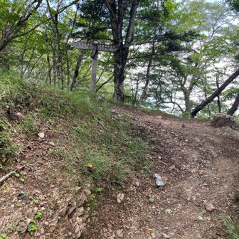 石尾根に縦走路に合流。ここも左へ登ります。