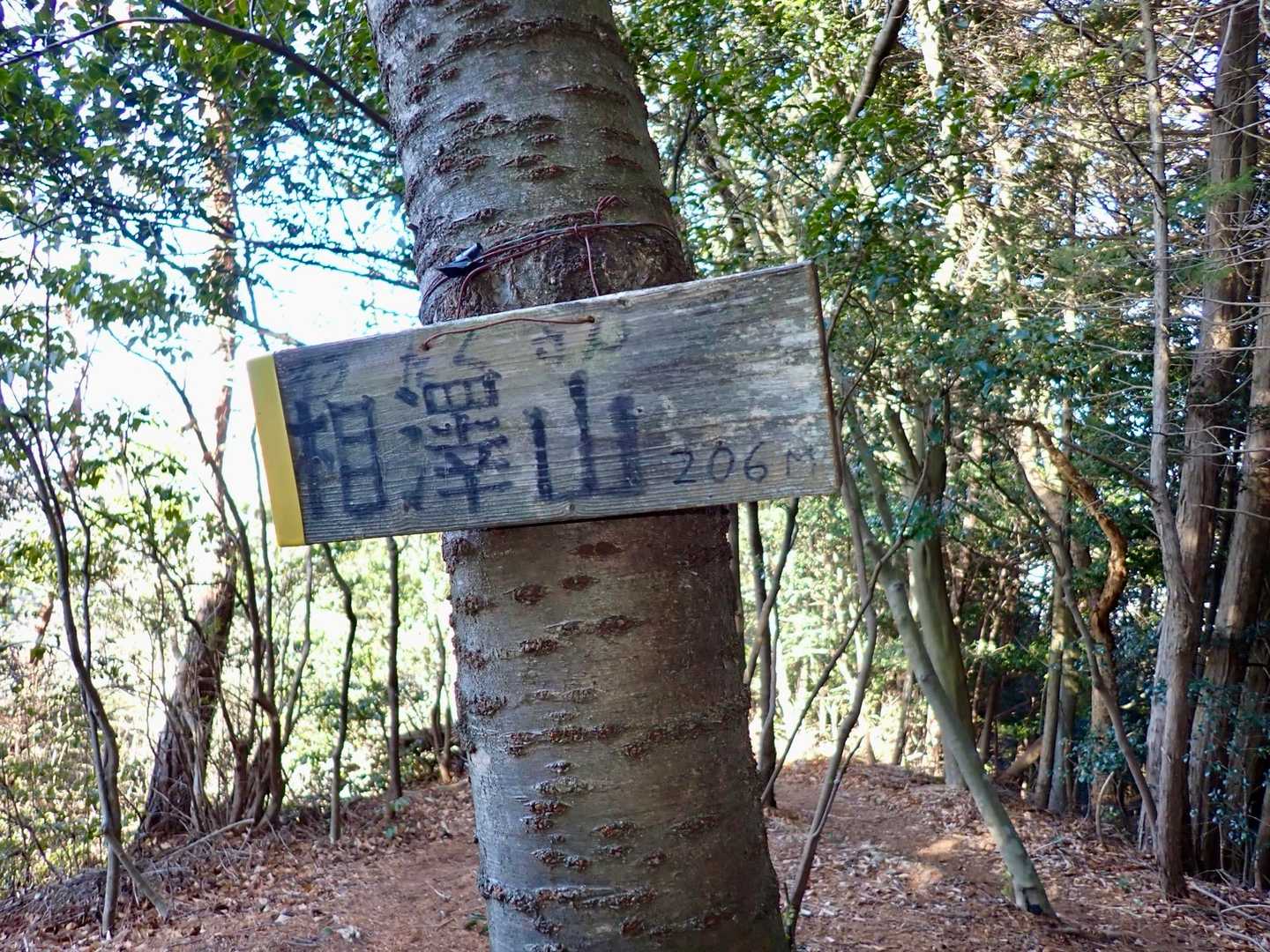 「あいざわやま」と思ってましたが、「そうたくさん」でした
