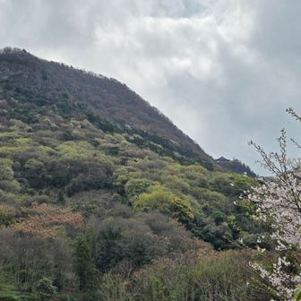 我拝師山
奥の院も見えてますね～