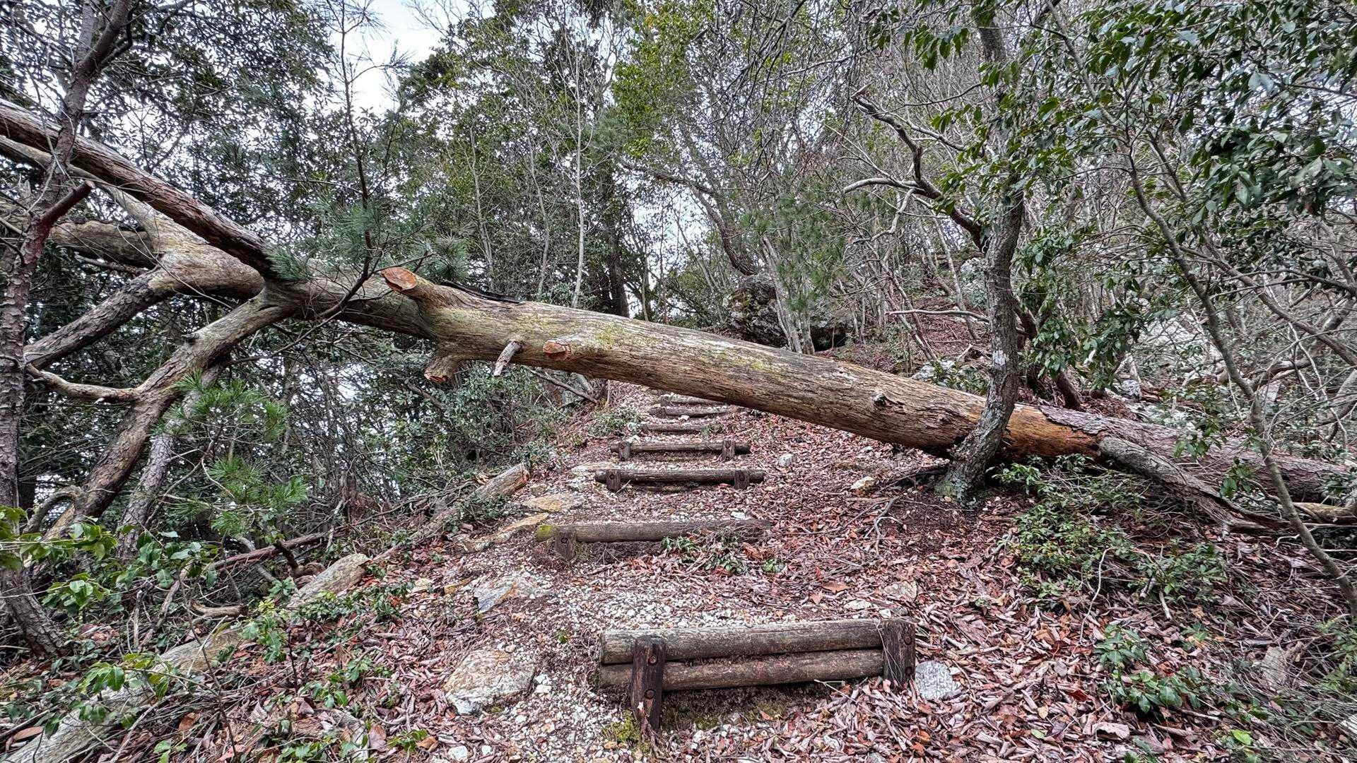 釜ヶ谷山 周回コースの写真