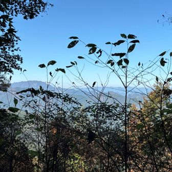 三の鳥居前の絶景スポット、木が伸びてあまり見えません