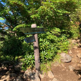 空木平分岐で稜線ルートと合流