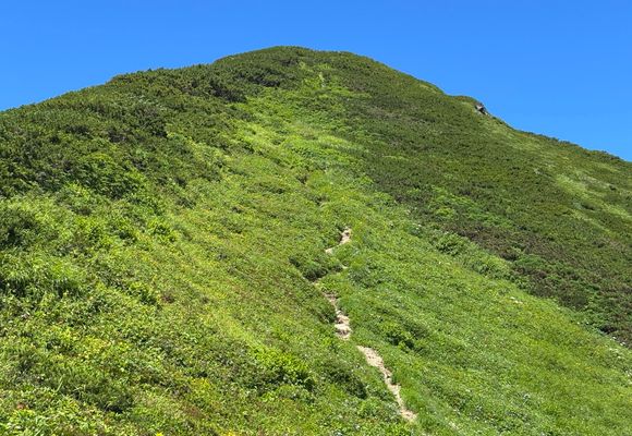 カムイエクウチカウシ山 / majikoの登山データ | YAMAP / ヤマップ