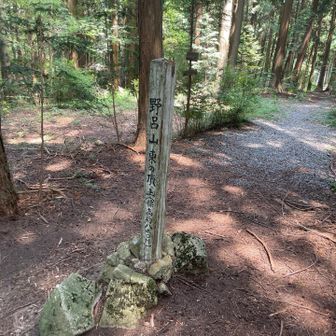 こちらは野呂山の山頂です。標高８２０m。キャンプ城と杉の木に囲まれて、眺望は望めません。