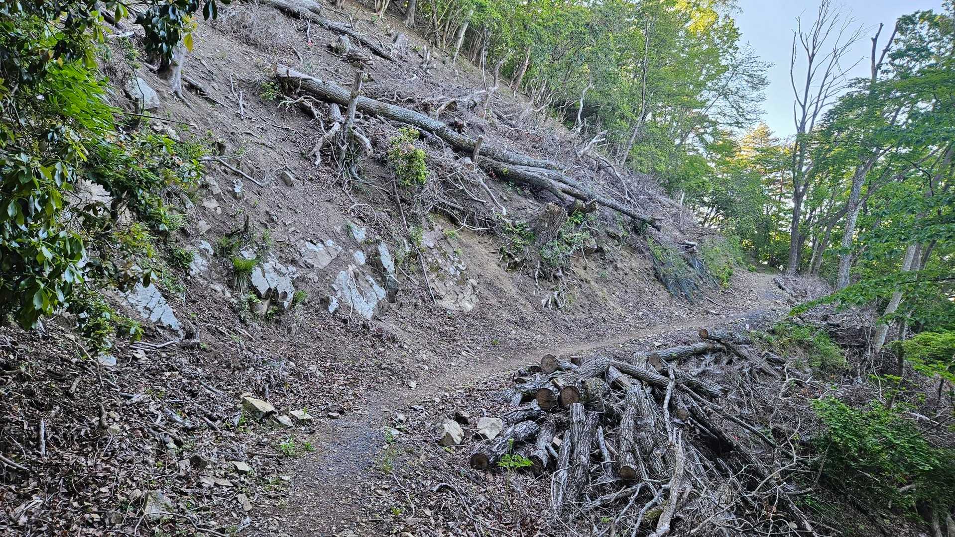 崩壊跡も綺麗に