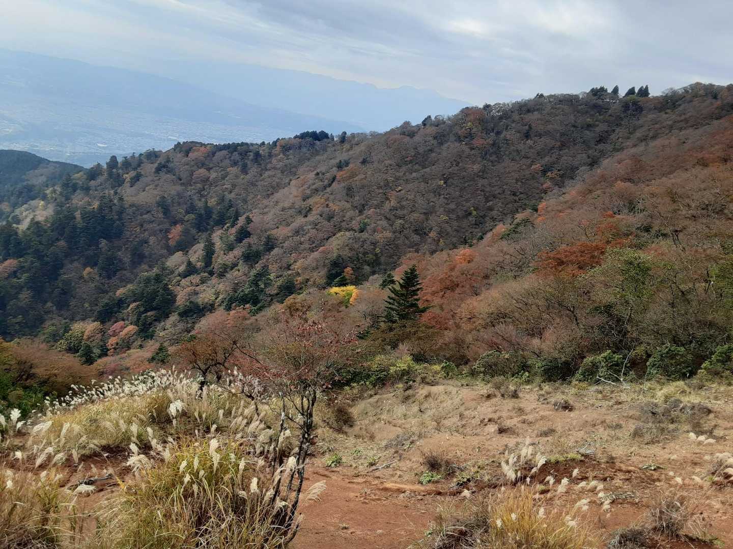 阿夫利神社下社-大山-見晴台 周回コースの写真