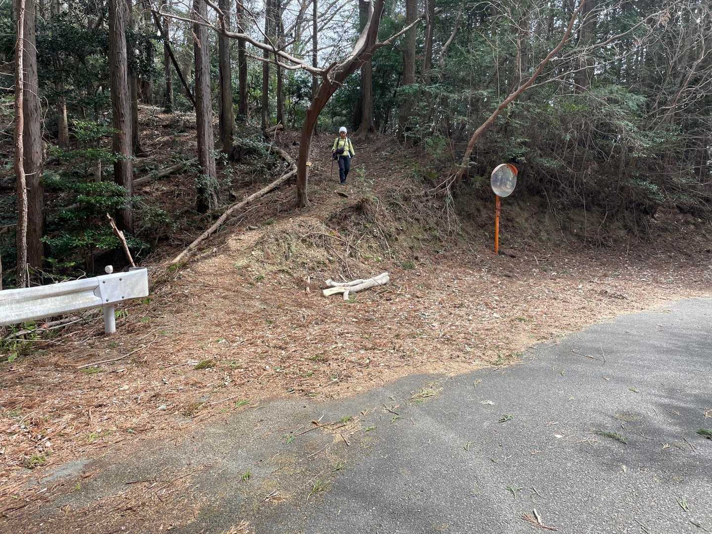 一旦車道に出ます
すぐ目の前から入れる物見山へ直登して行くキツい道も通れるようになってました