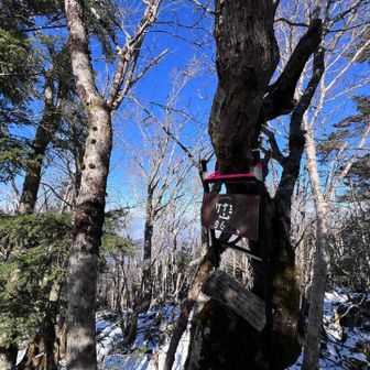 毛無山。名前から察するに昔は木が無く展望が良かったのかな？