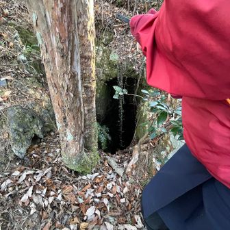 これかな？
縦穴なので危ないですね⚠️