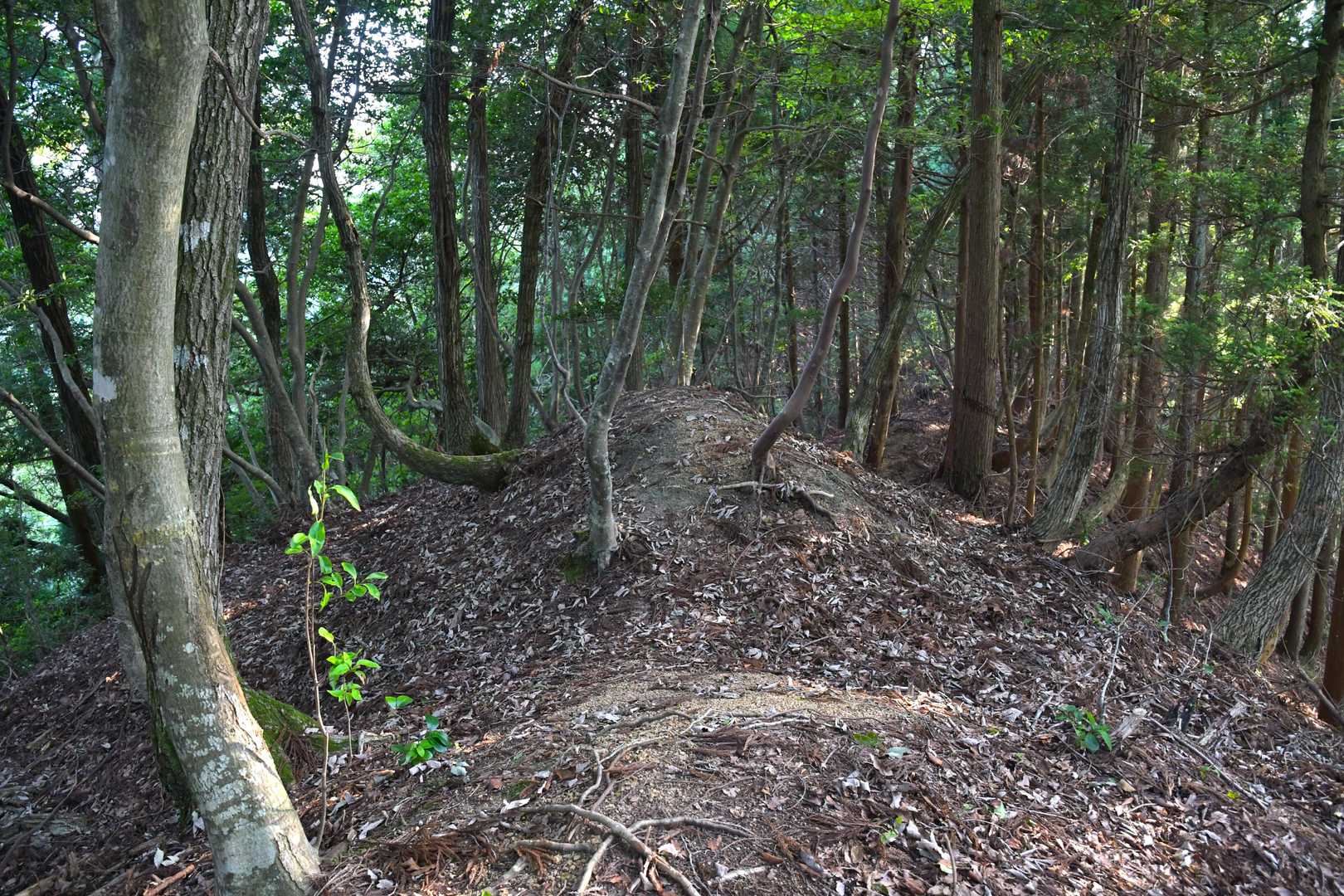 主郭背後の二重堀切の一重目。