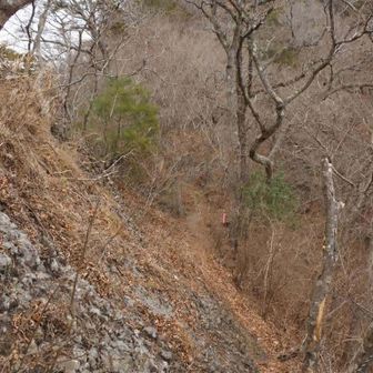 下って登り返します。