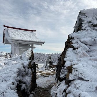 山頂の神社