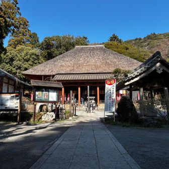 日向薬師バス停に着くと、次の🚌まで45分くらいあったので、日向薬師に初めてお参り
国重文が8つもあるのですね