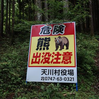 山荘のおじさんによると熊も鹿もおらんとか