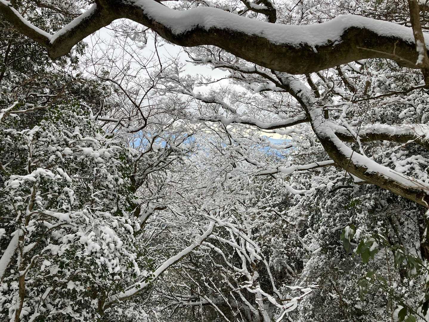 三郡山-砥石山  周回コースの写真