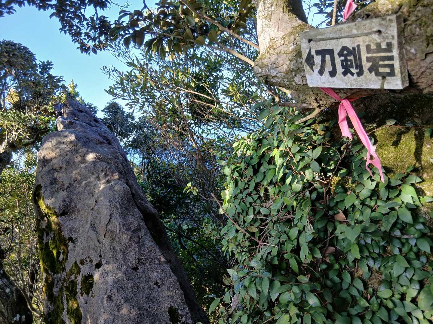 矢筈岳-矢筈岳登山口 周回コースの写真
