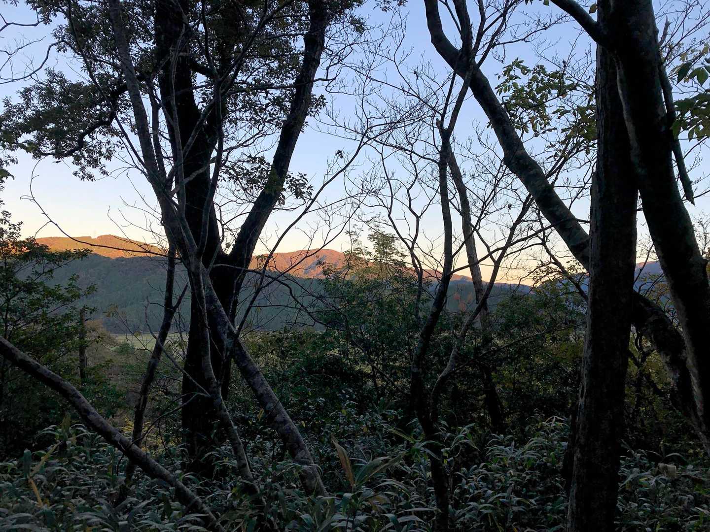 岩崎山頂上
ほとんど眺望無しですが、樹々の隙間から少しだけ周辺の山が見える。
朝日が指して来ているが、山頂では朝日は見えず😢