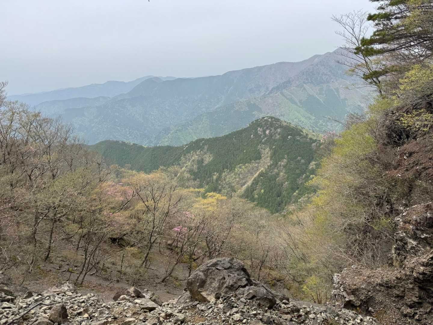 ガレて開けた場所から。
向かいの山も、ちらほらピンク🩷