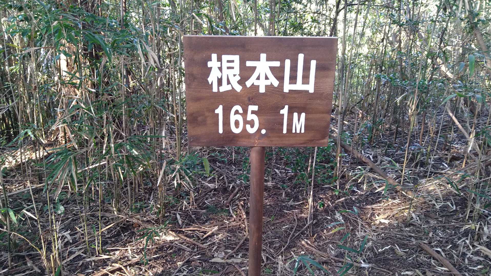 根本山（栃木県）の写真