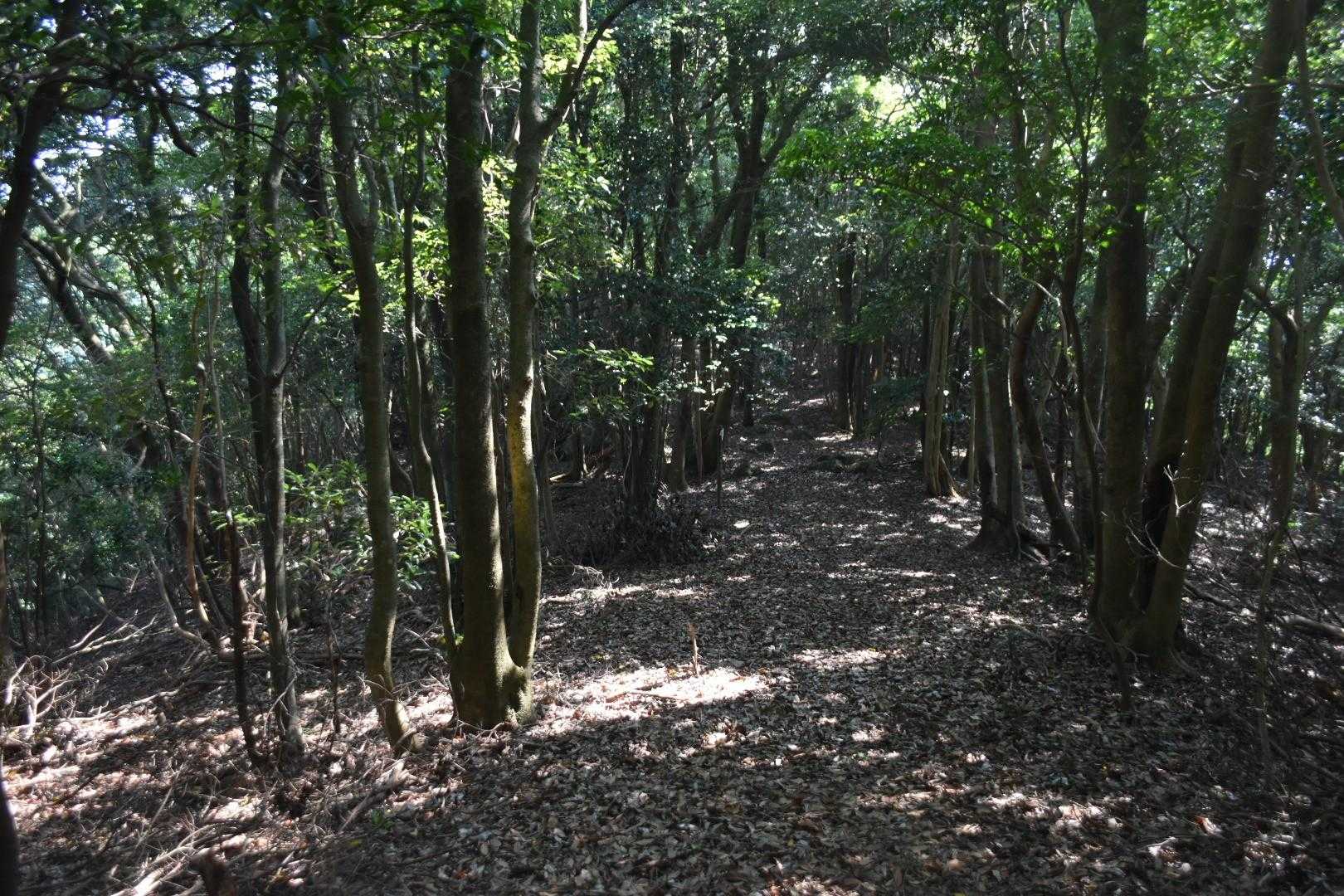 幸せロード🤩。
