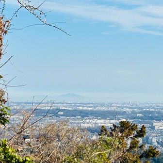 筑波山も見えた。
