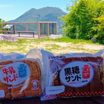 山友さんがご用意してくれたリョーユーパンの牛乳パン。
今回は黒糖味も😋

水筒に持参いただいた冷たいアイスコーヒー☕、一度凍らせたピーチゼリー🍑もいただきました🙏