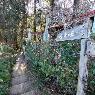 吾妻峡への階段