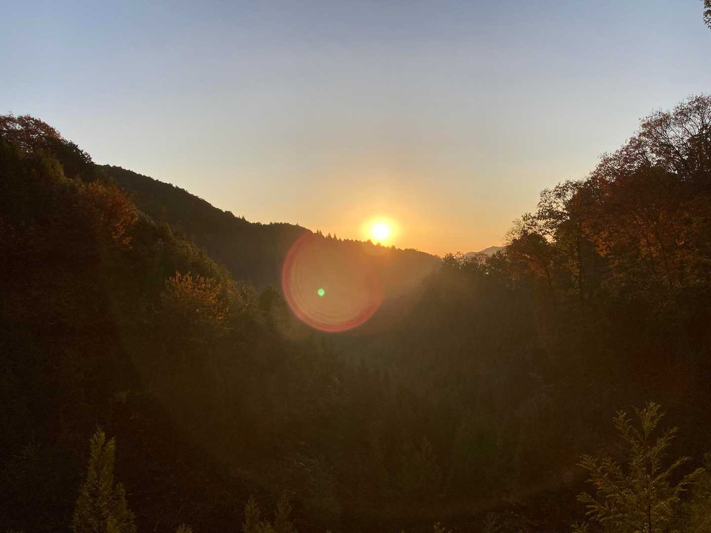 鳴蟲山 往復コースの写真