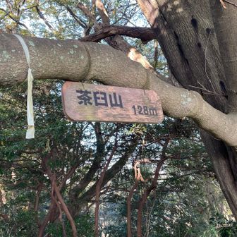 沼津アルプスは太平山から香貫山の7座だから、ここは含まれないらしい🫢原木駅から太平山間はアスレチック感で楽しいけど、途中の多比峠口スタートかゴールの人が多いよう👀