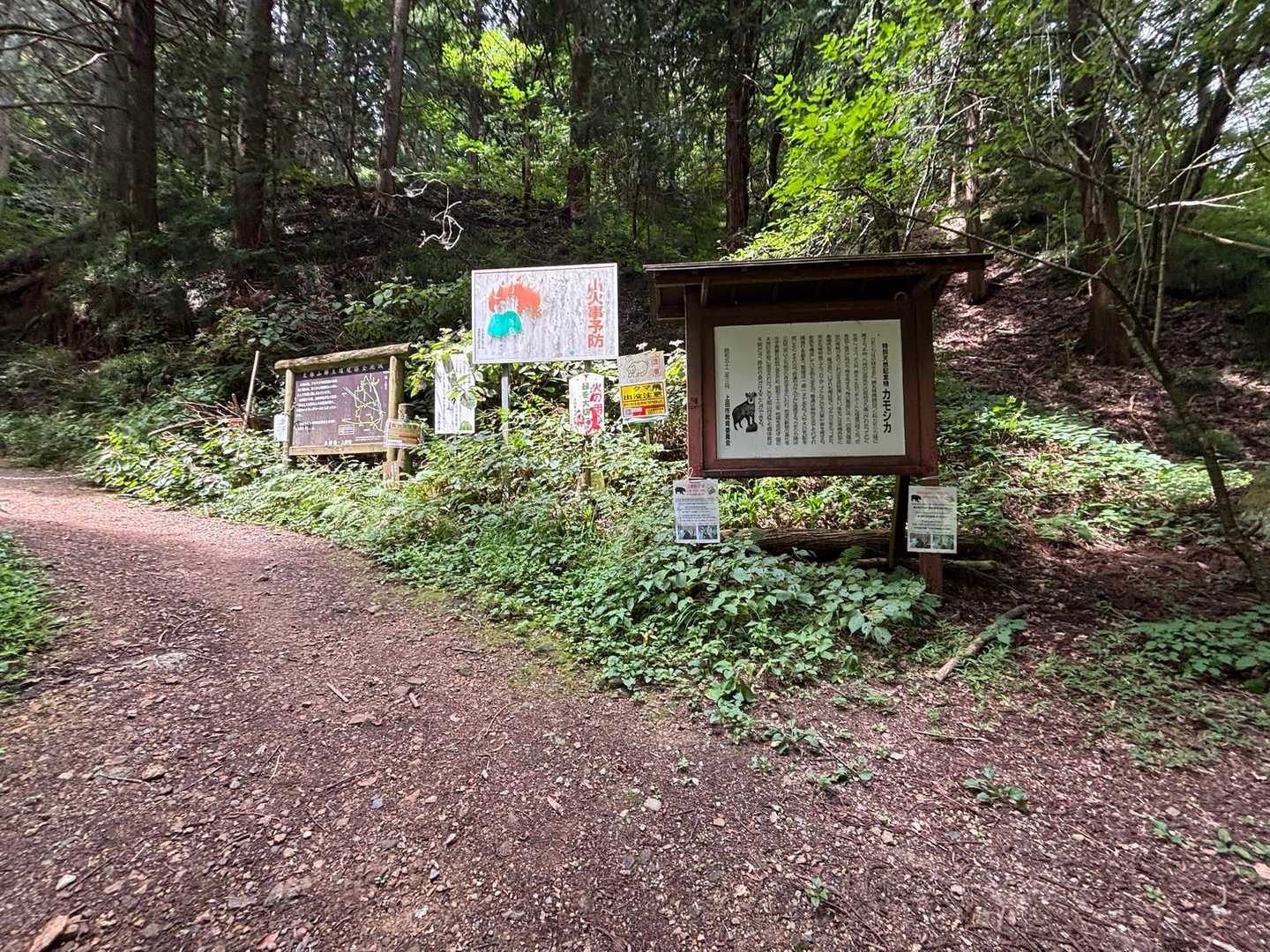 裏参道登山口を経て、、
ラストは林道歩き🚶、、、