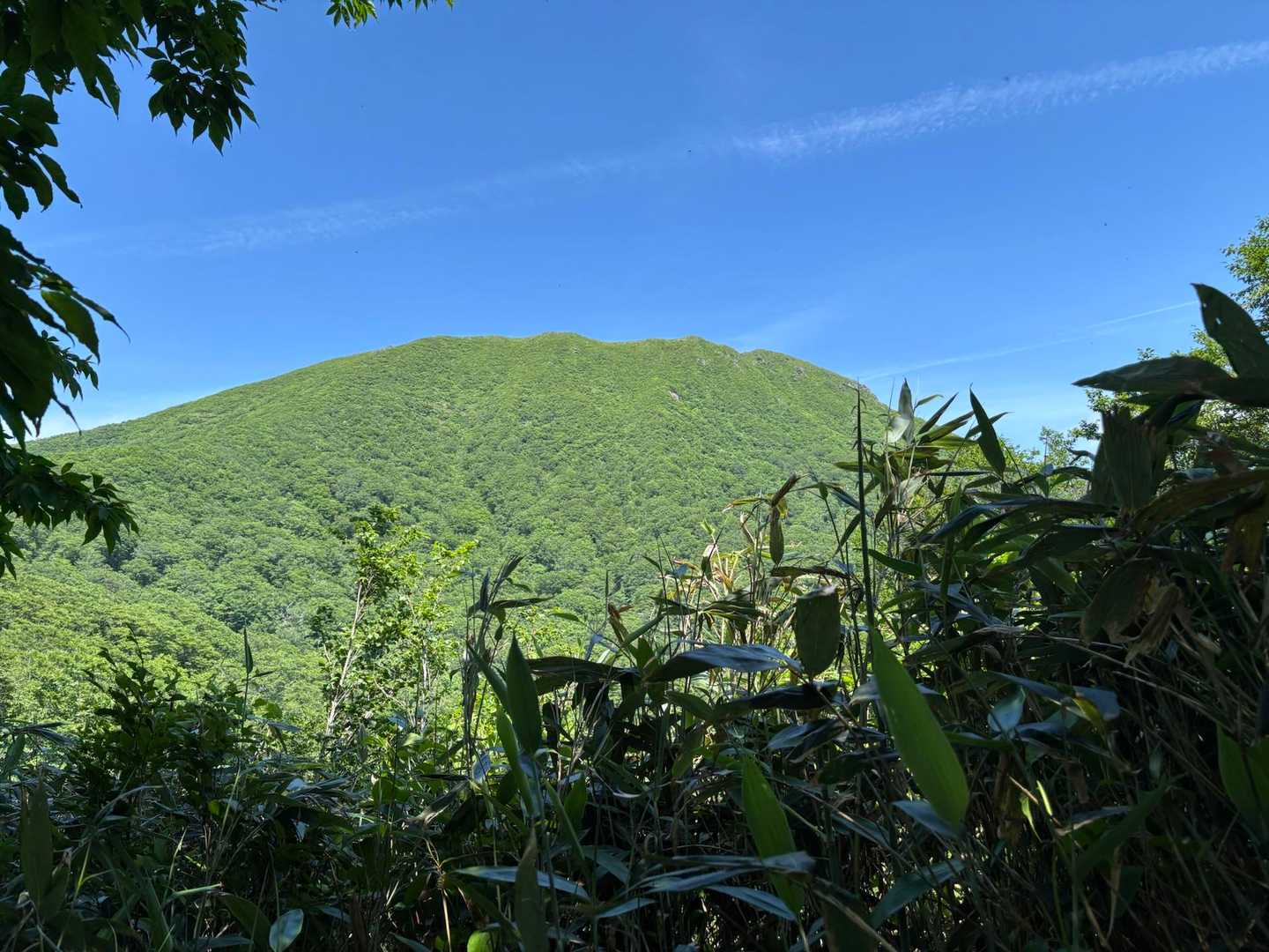 船形山 観音寺コースの写真
