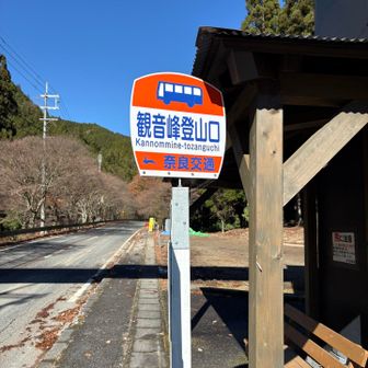 途中、バス🚌道に出ます
