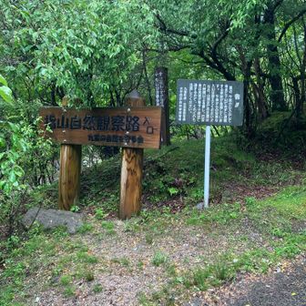 もうすぐ到着