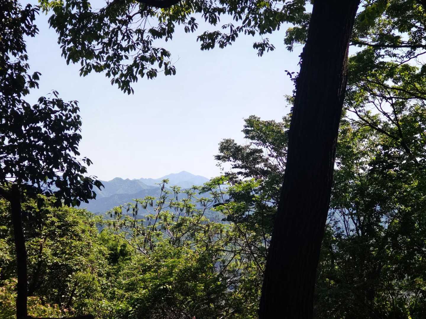 大山が望める場所で、休憩🌱