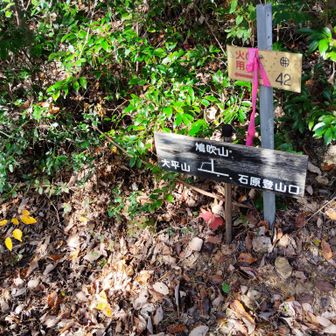 大平山を登ります