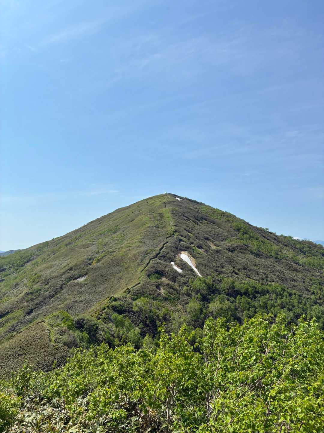 ここが1番の見どころポイント