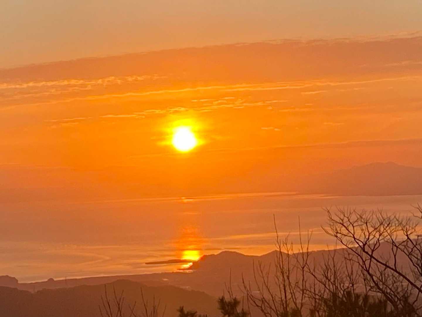 今年もよろしくお願いします