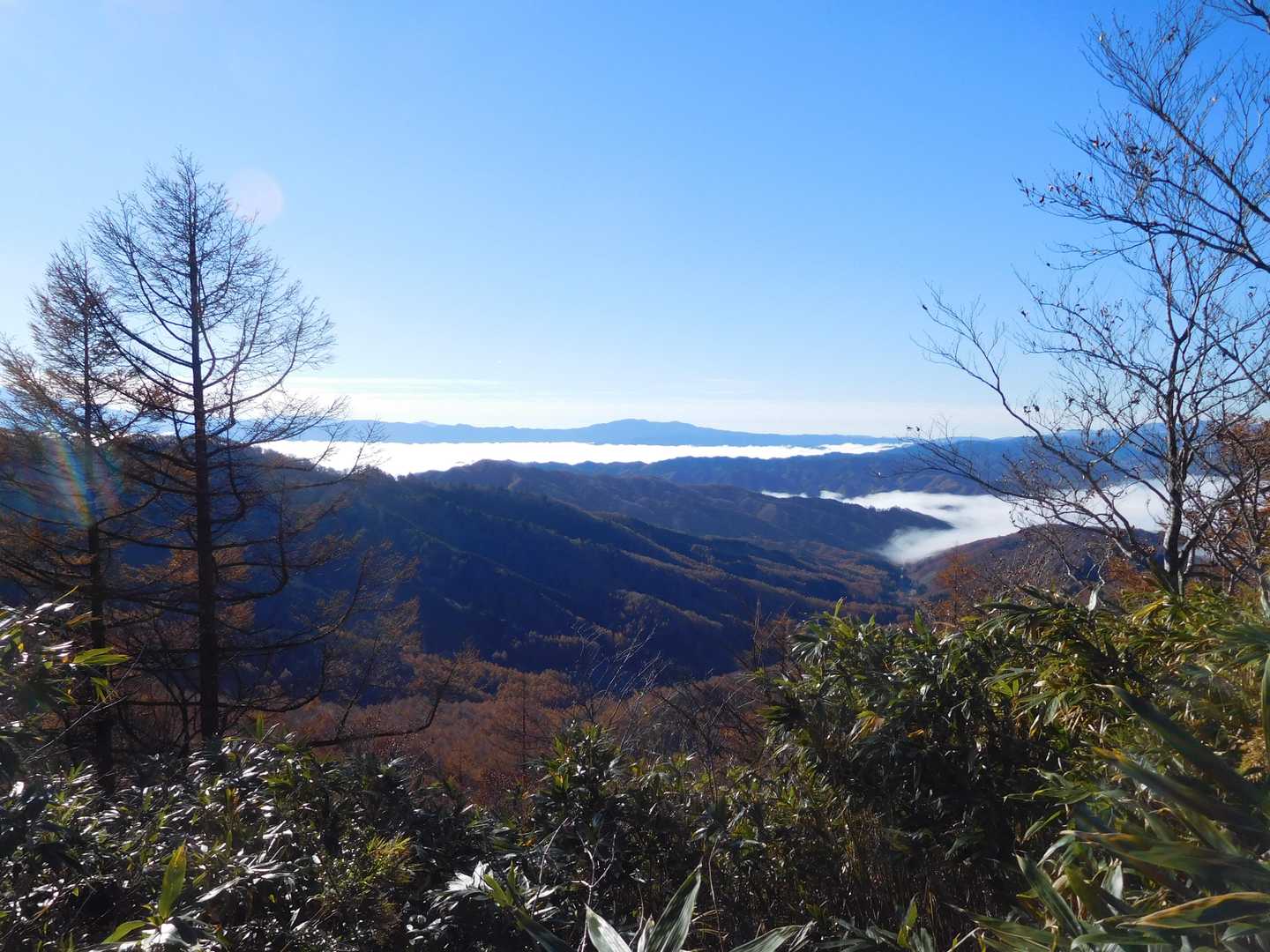猪臥山散策道入口-猪臥山 周回コースの写真